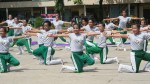 Stallions hinder Hounds roar anew